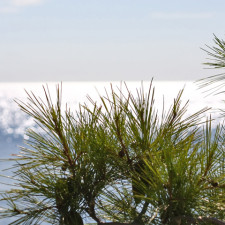 Chorvatsko, Primošten Bilo